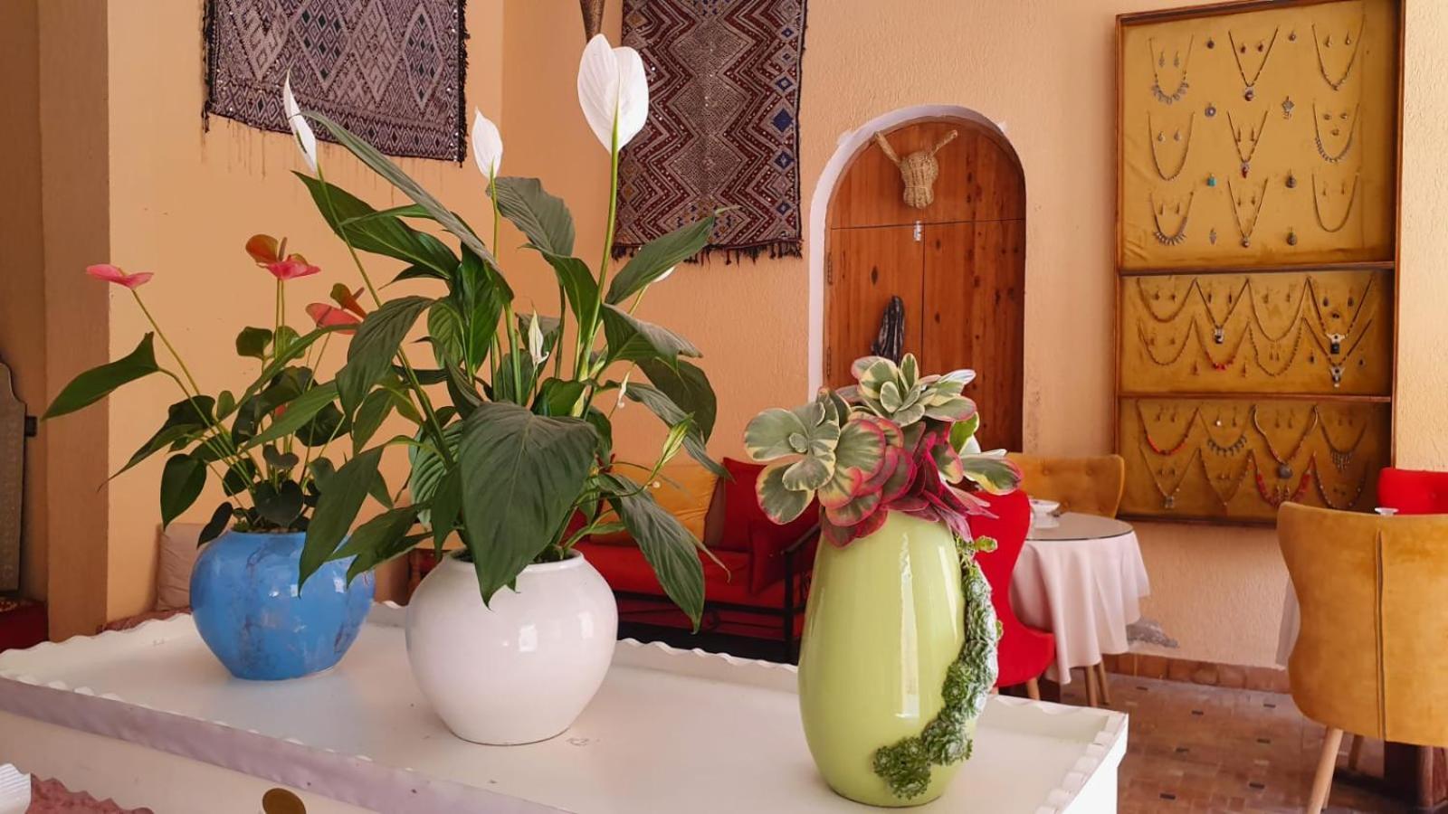 Riad Golf Stinia 2 Meknès Exterior foto